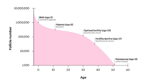 Graph showing the follicle number in females and age