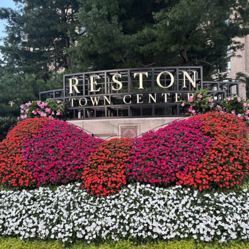 reston town center sign with blooming coral flowers